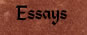 My Essays